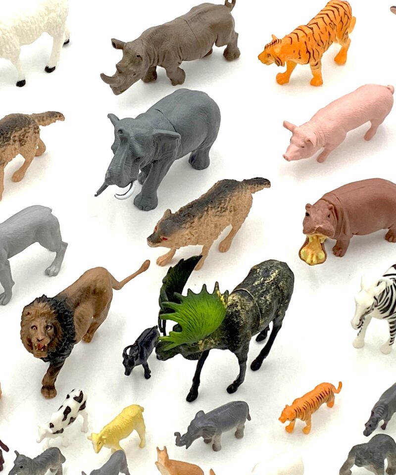 Praktiline hoiukarp loomade hoidmiseks