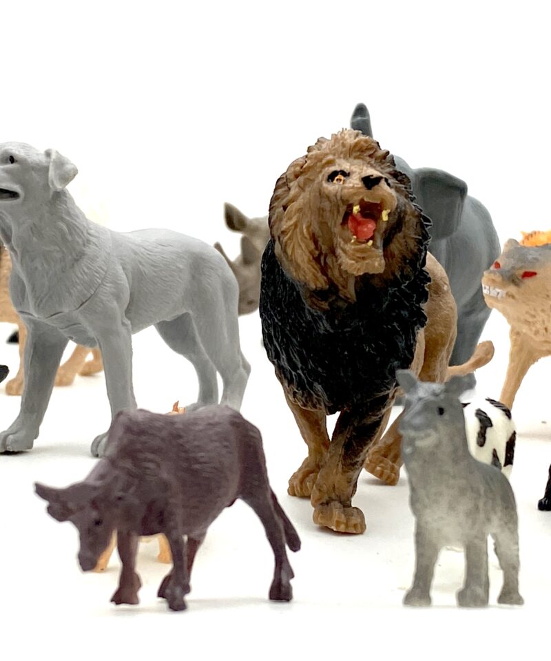 Praktiline hoiukarp loomade hoidmiseks