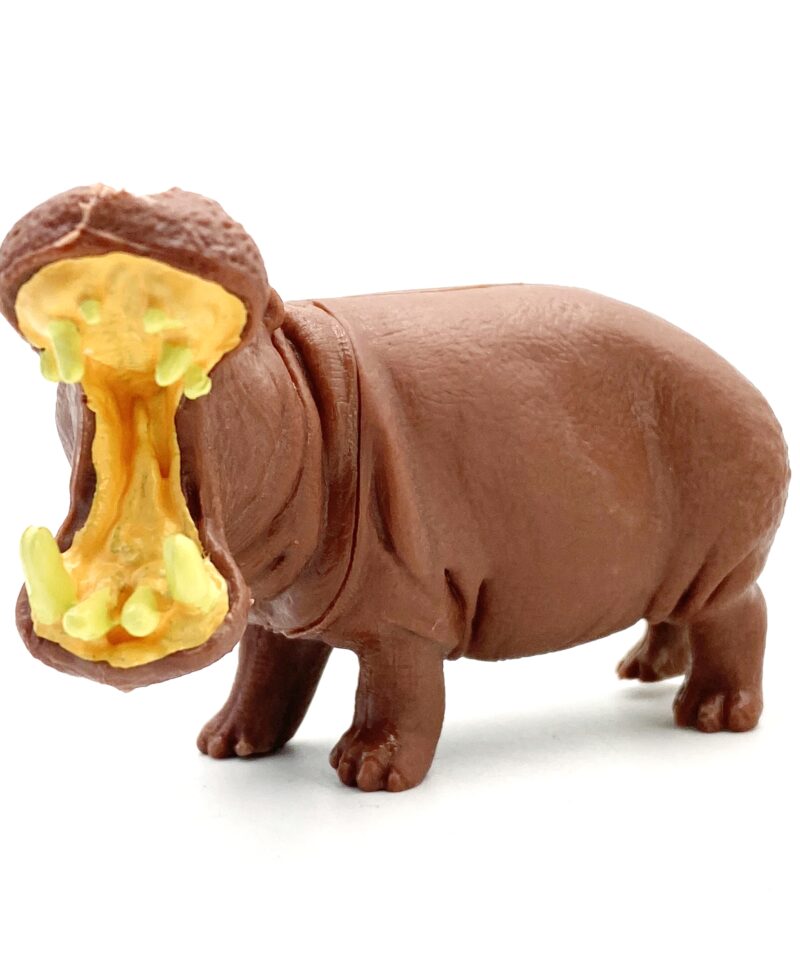 Praktiline hoiukarp loomade hoidmiseks