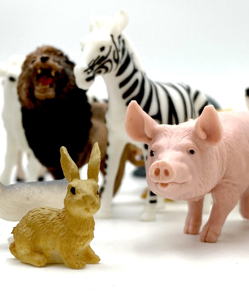 Praktiline hoiukarp loomade hoidmiseks