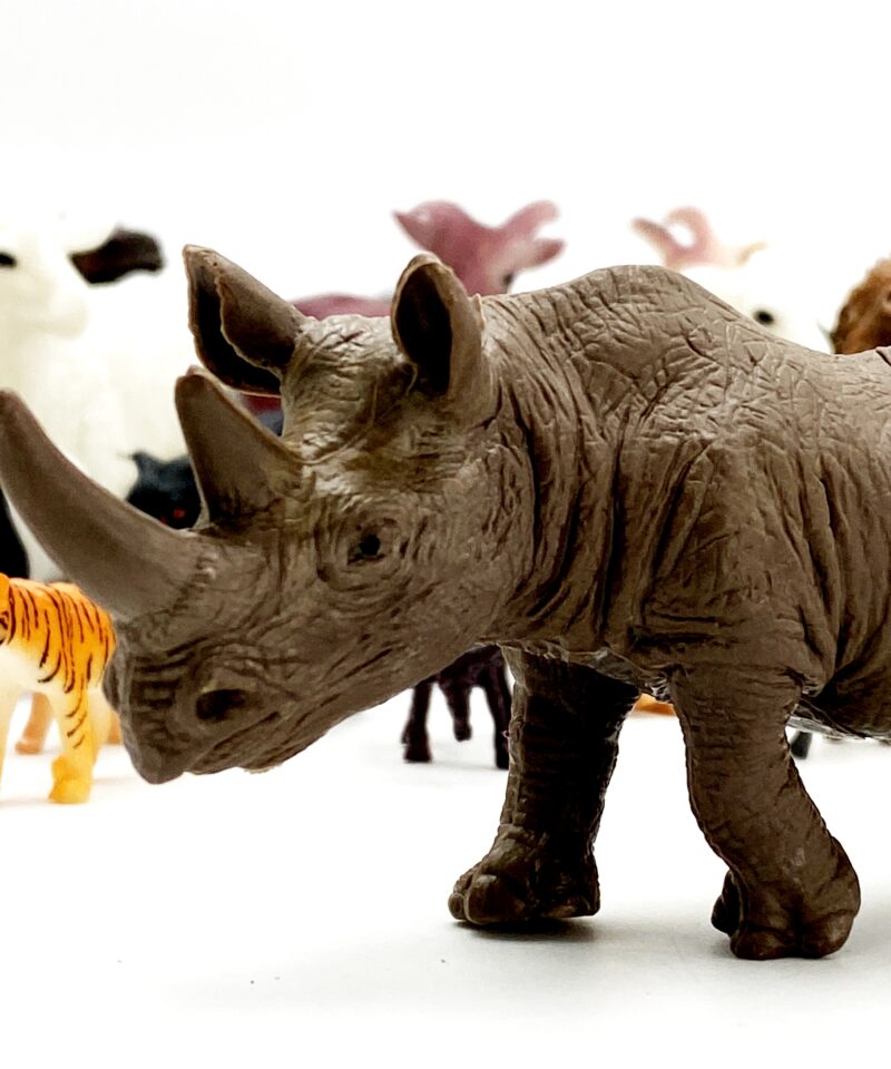 Praktiline hoiukarp loomade hoidmiseks