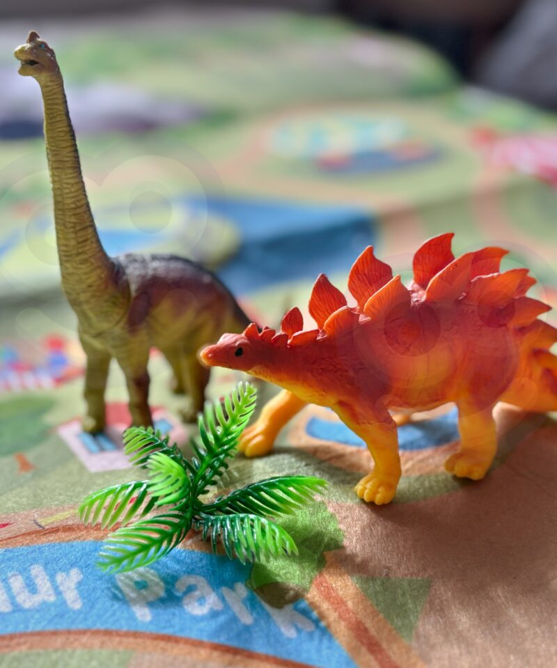 Lõbus ja õpetlik mängukomplekt