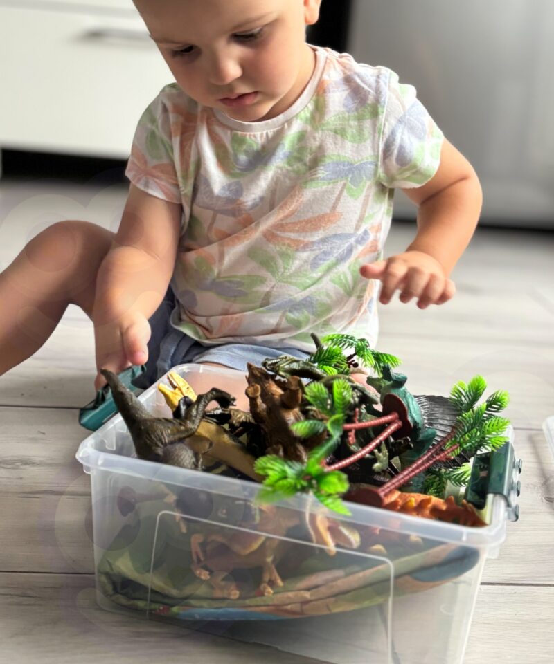 Dinosauruste park mängimiseks