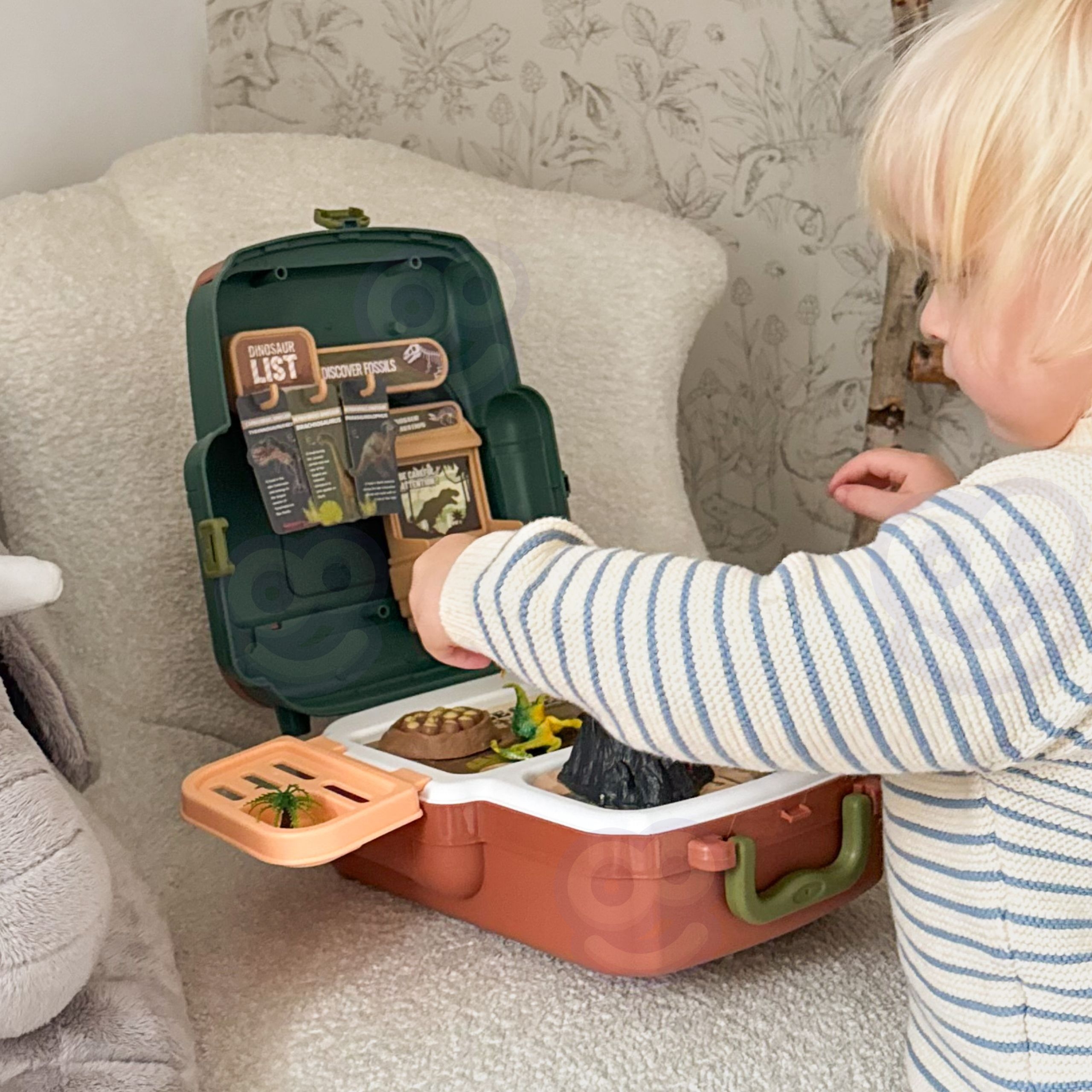 Harivad kaardid dinosauruste kohta