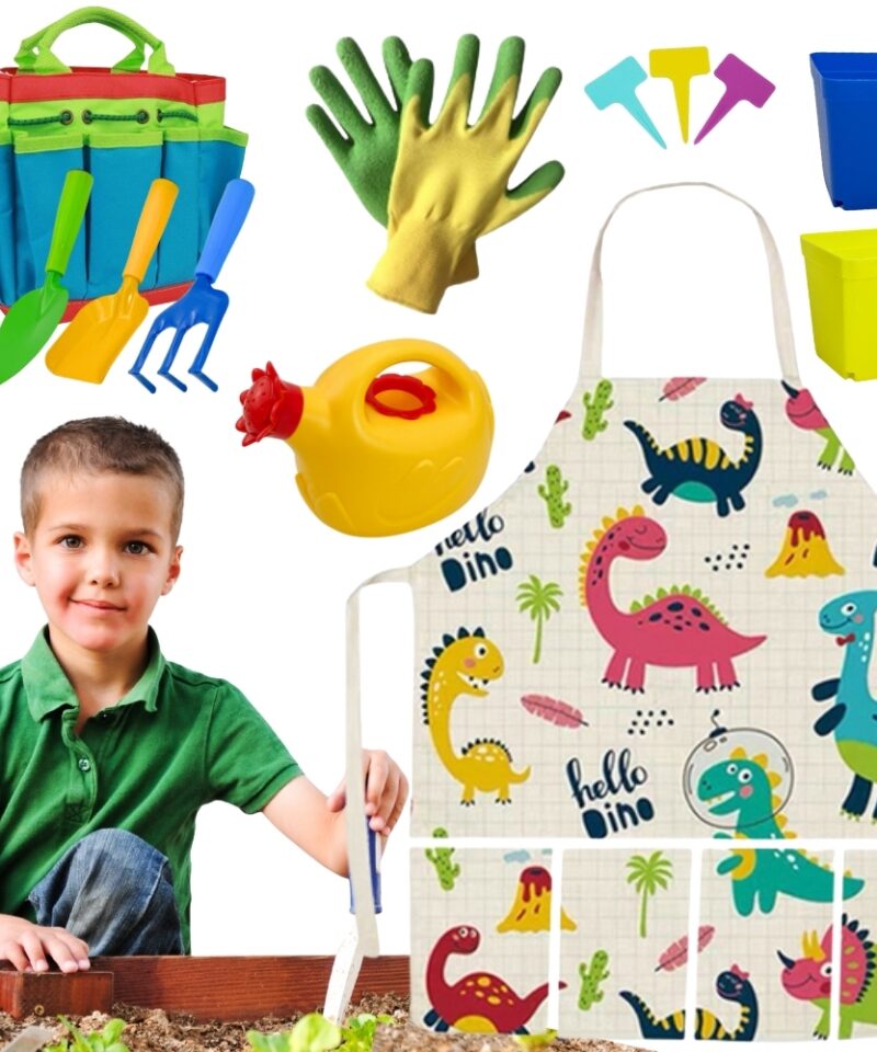 Laste Aiatarvete Komplekt Dino koos tööriistadega