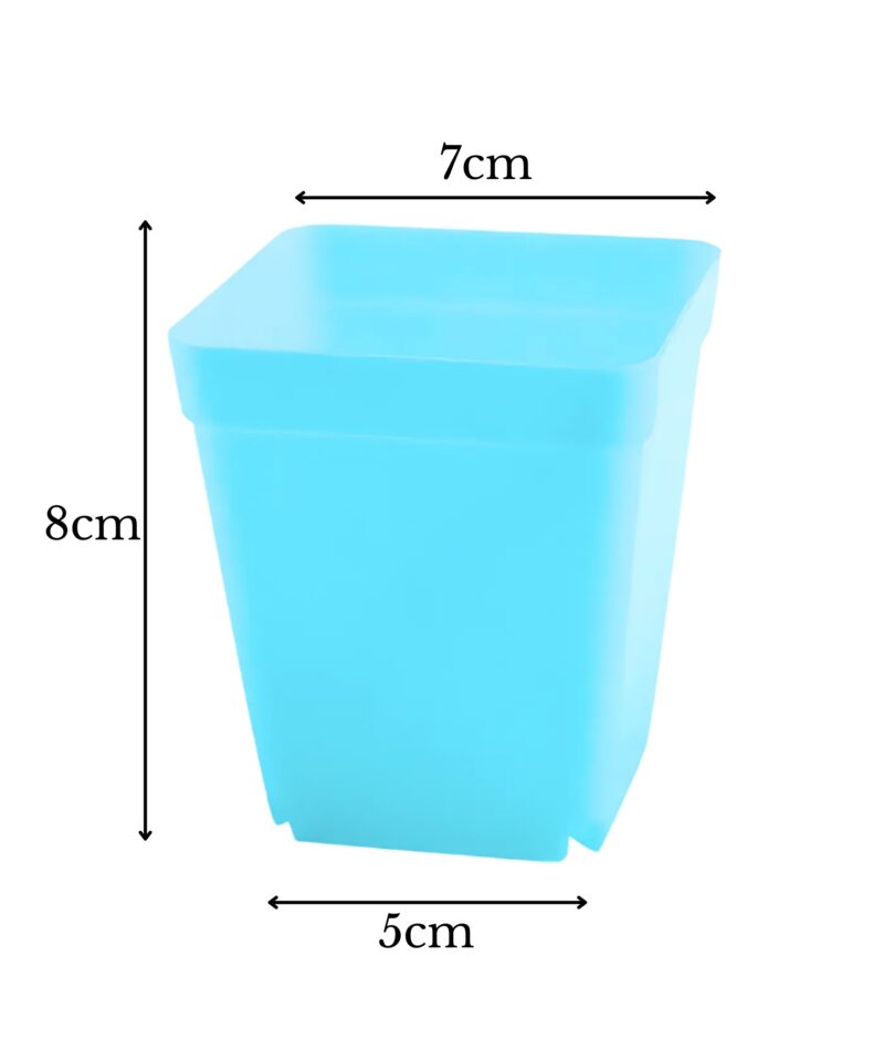 Looduse avastamine mängu kaudu