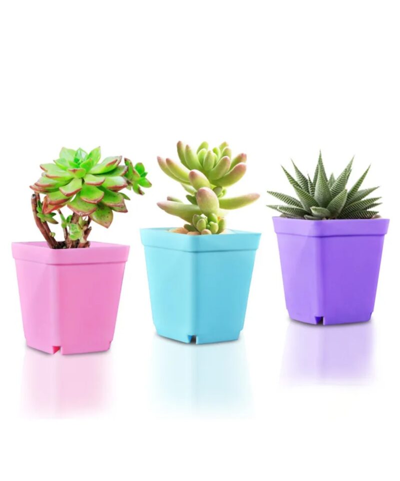 Looduse avastamine mängu kaudu