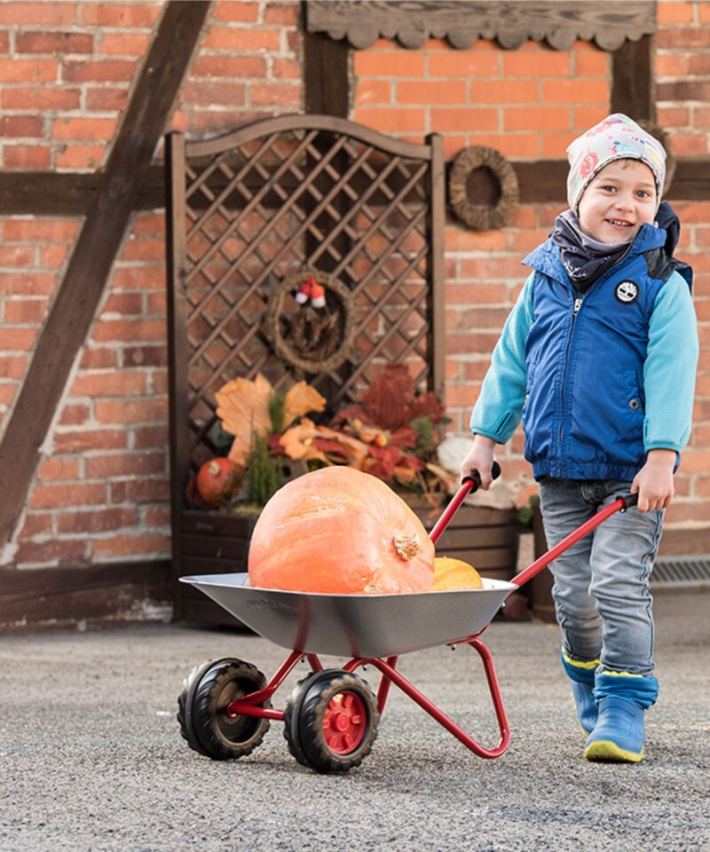 Laste aiakäru koos kahe rattaga