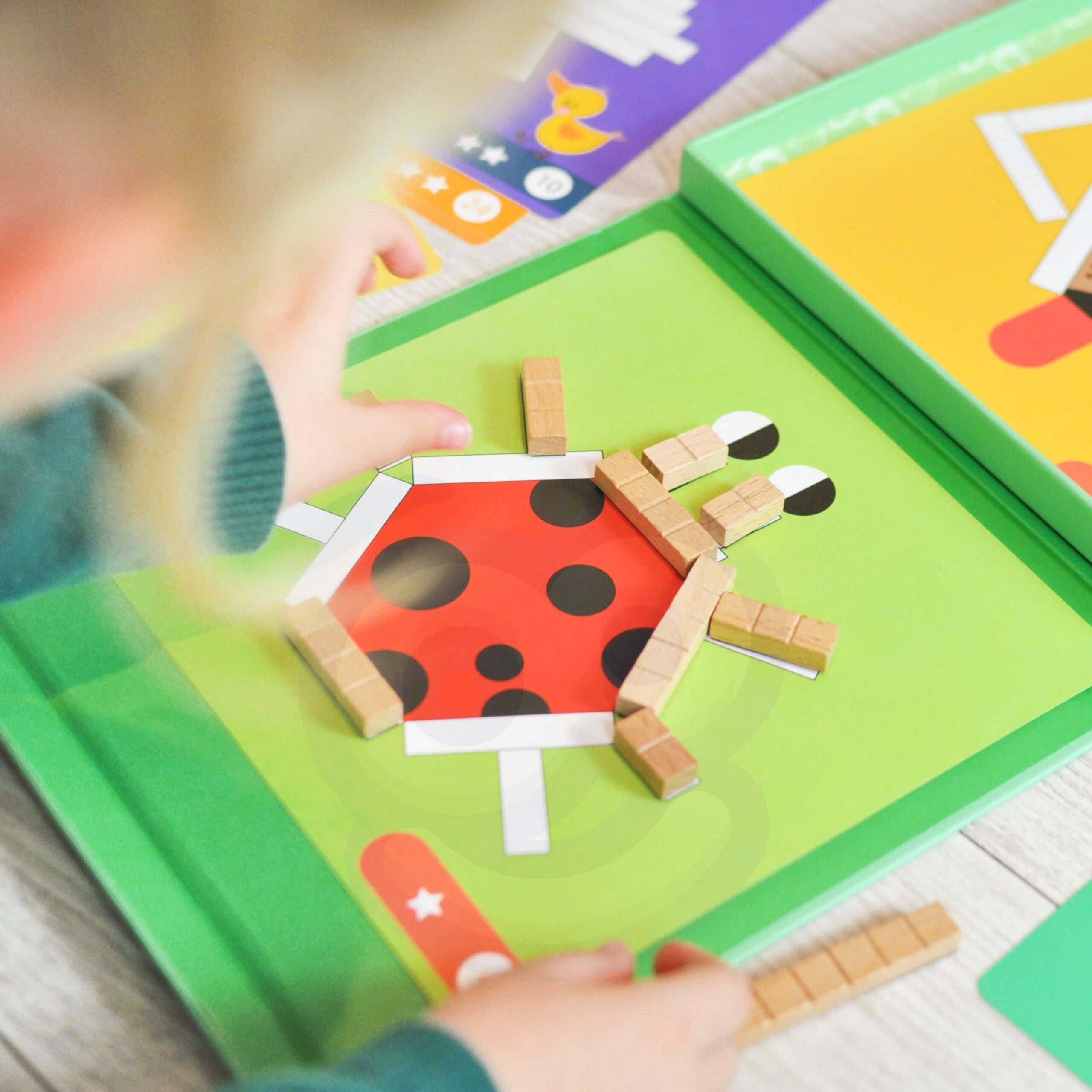 Mugavas karbis magnetilised puslekivid