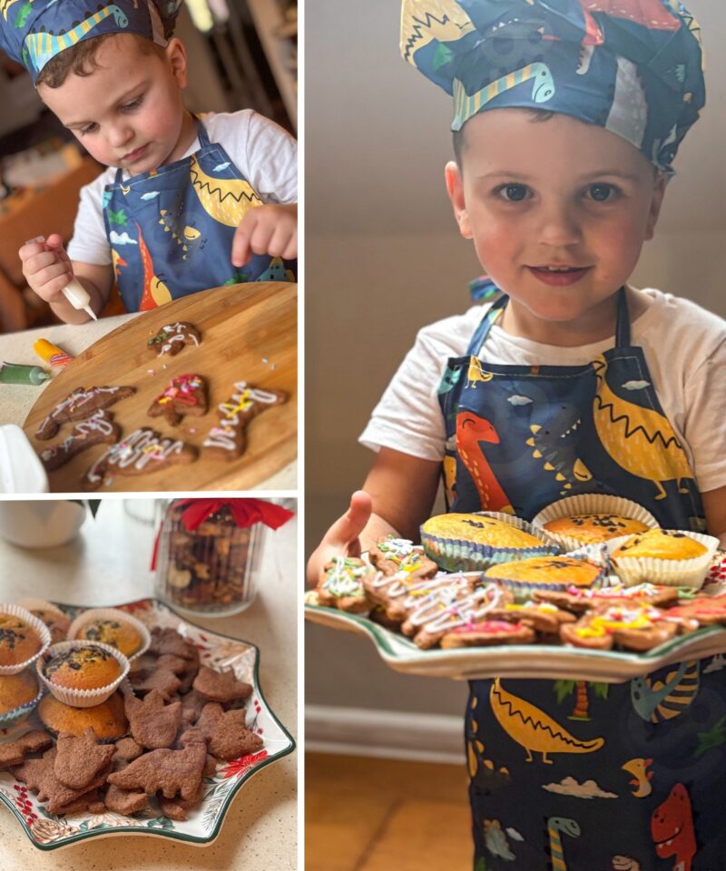 Dinosauruseteemaline kokkamiskomplekt