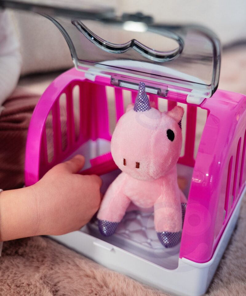 Hooldushari ükssarviku jaoks