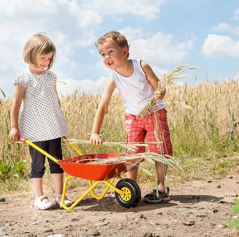 Punane aiakäru mänguväljakul