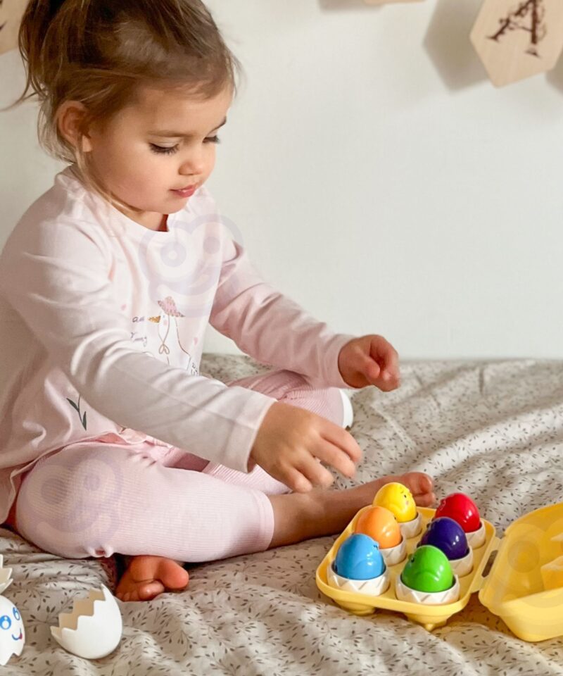 Värvilised tibud munasorteri sees