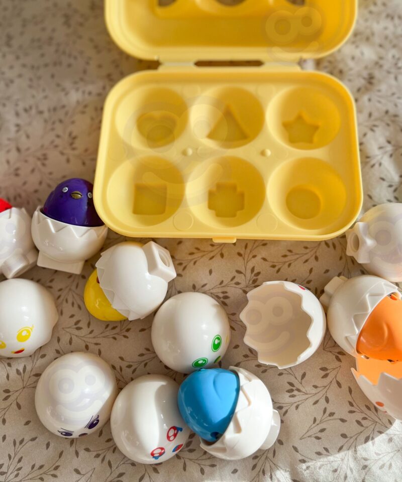 Munasorteri mänguasi loogika arendamiseks