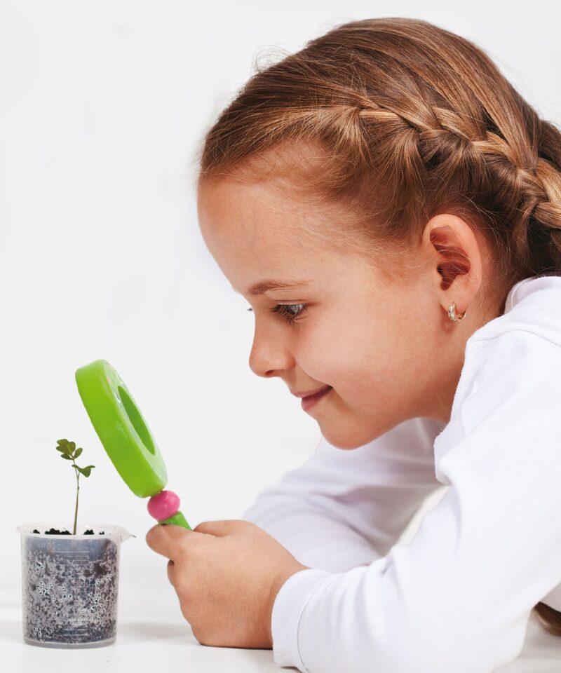 Luup, mis arendab lapse teadmishimu