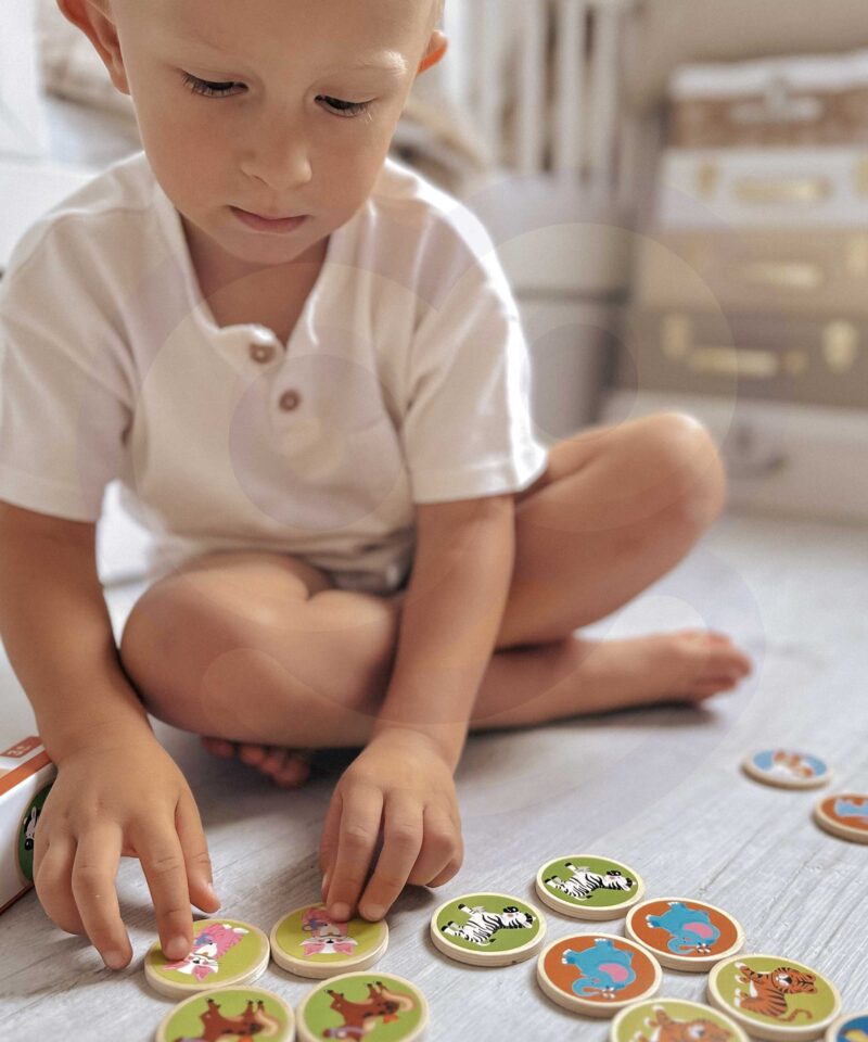 16 paari värvilisi loomapilte