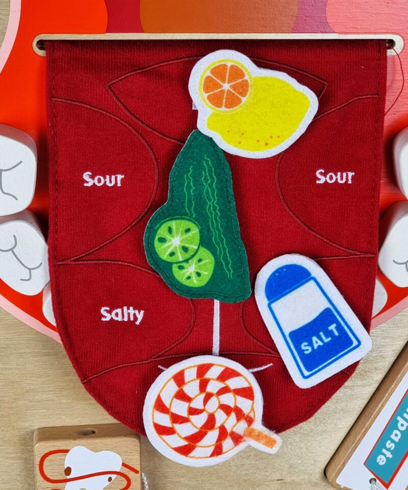 Õppetahvel maitsete eristamise õppimiseks