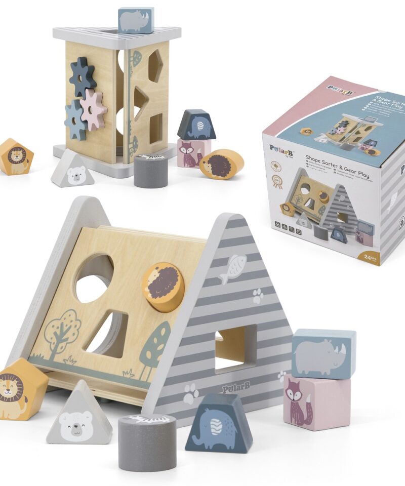 Värviline puidust sorter lastele mängimiseks