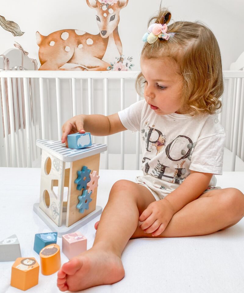 Arendav puidust mänguasi laste koordinatsiooniks