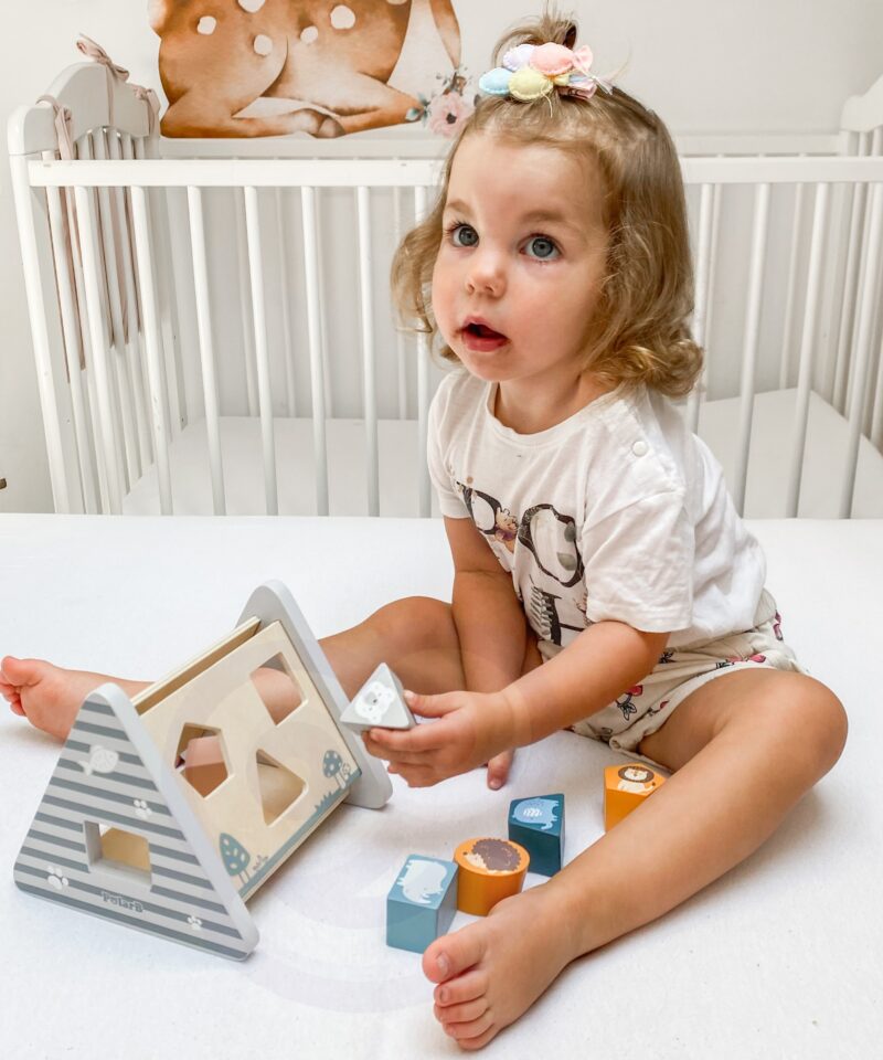 Lastele mõeldud puidust klotside sorter