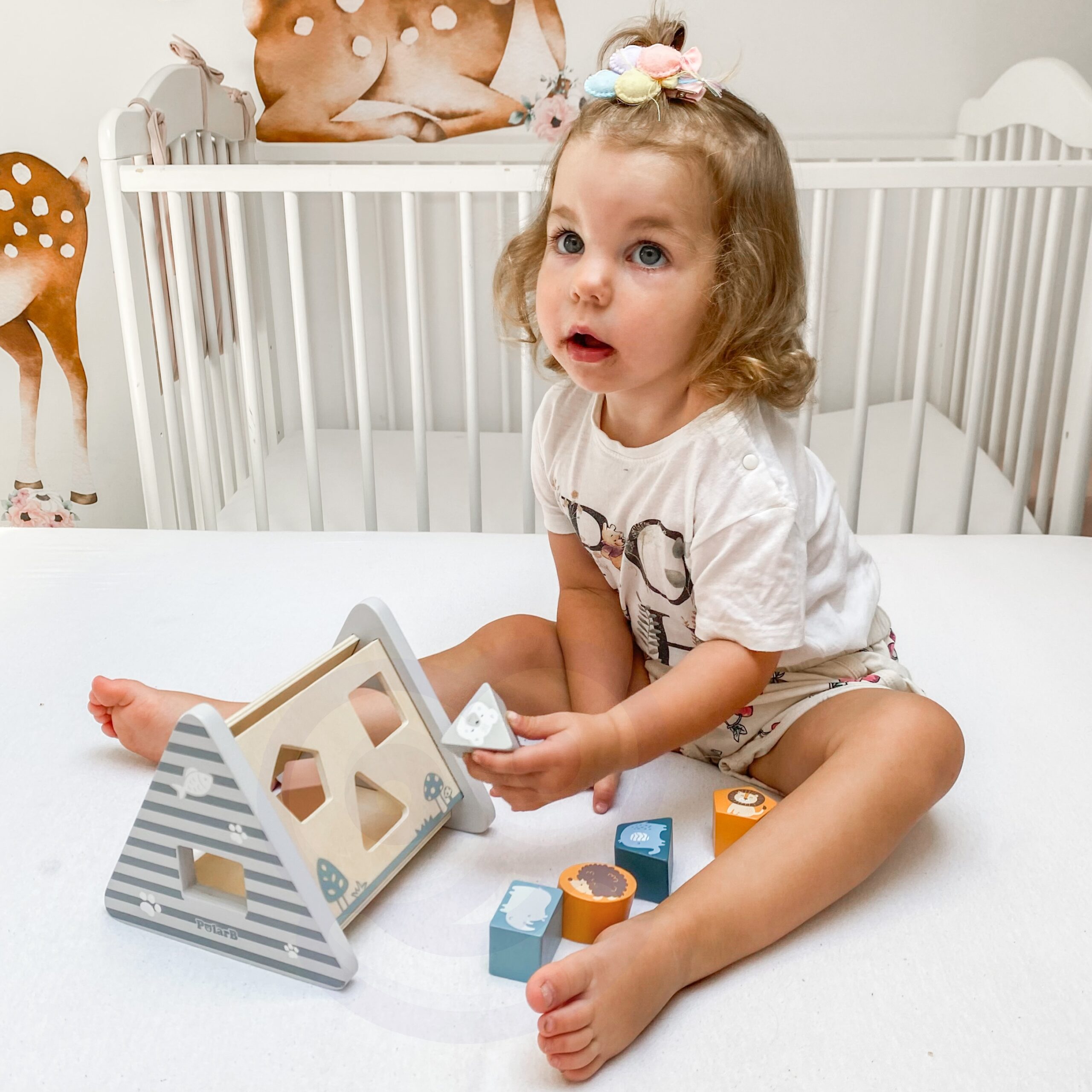 Lastele mõeldud puidust klotside sorter