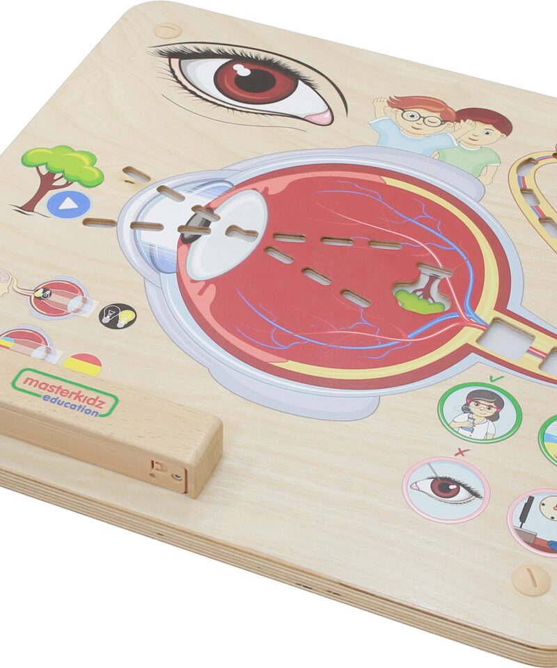 Hariduslik meeletahvel laste arendamiseks