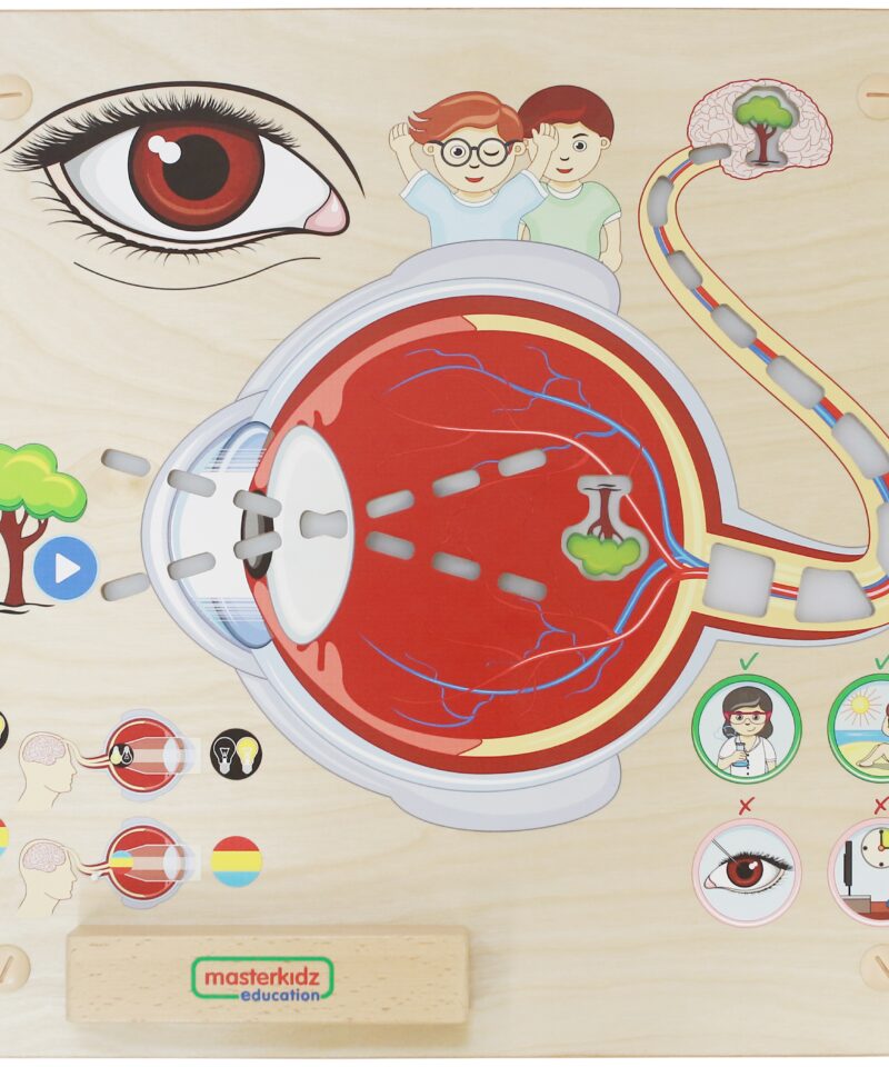 Meeletahvel, mis arendab lapse oskusi