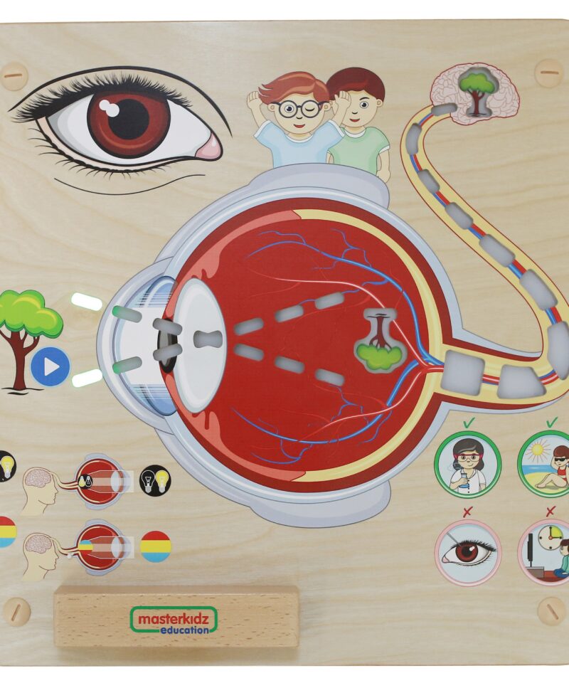 Lastele mõeldud hariduslik tahvel