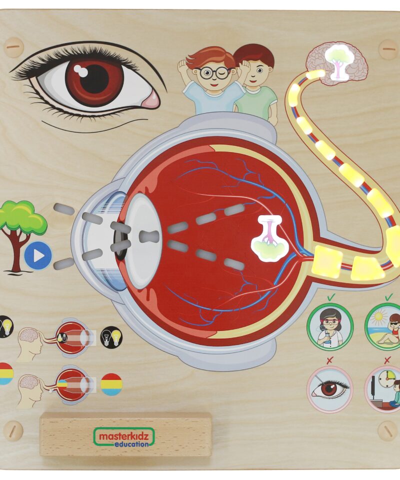 Tahvel, mis õpetab meelte toimimist