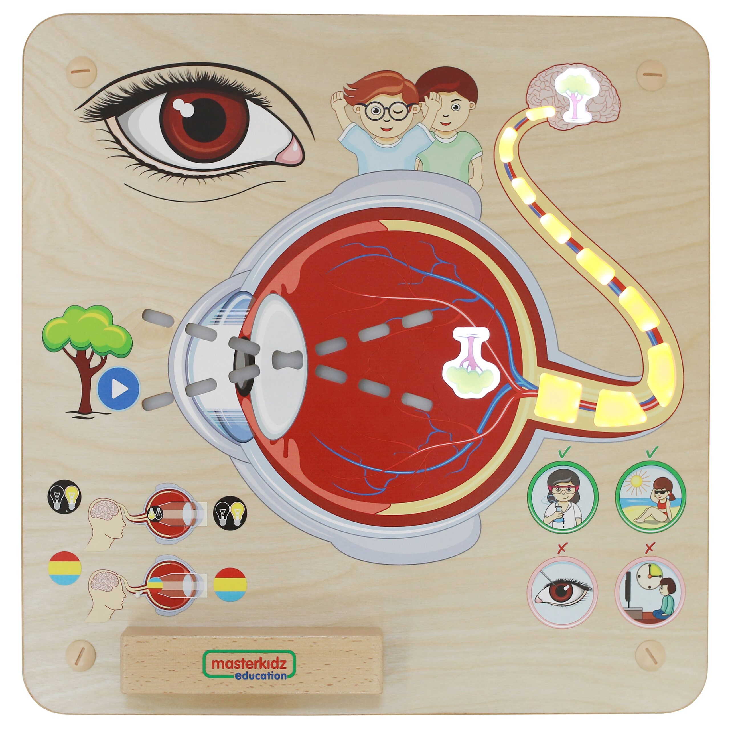 Tahvel, mis õpetab meelte toimimist