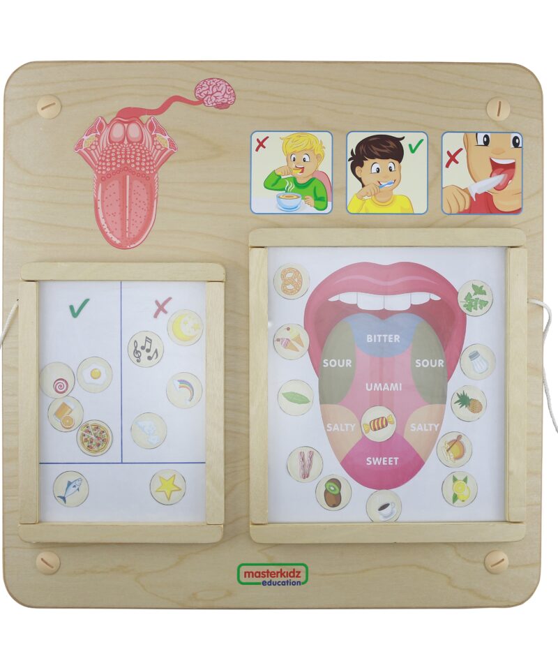 Hariv Maitsmismeele Õppelaud lastele