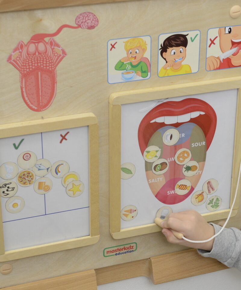 Laste õppelaud maitsmismeele arendamiseks