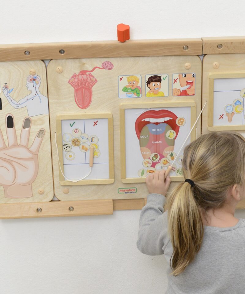 Sensoorne õppelaud maitsete avastamiseks