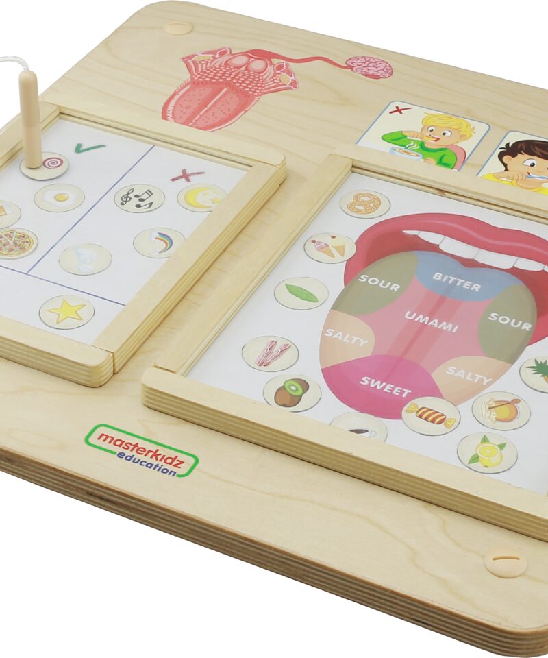 Hariv mängulaud maitsmismeelele