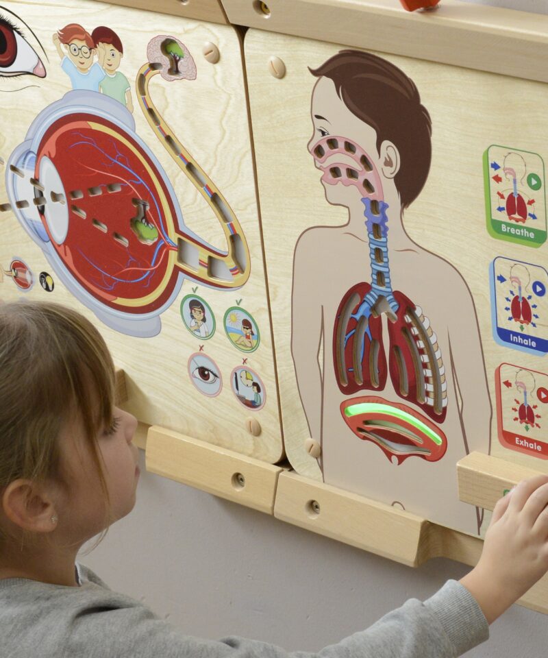 Õppetahvel, mis õpetab hingamisprotsessi