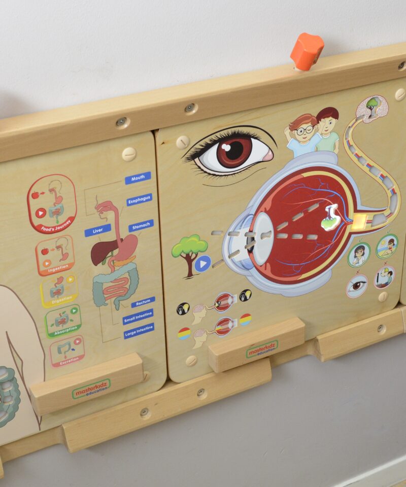 Hariv mänguasi lastele teaduse avastamiseks