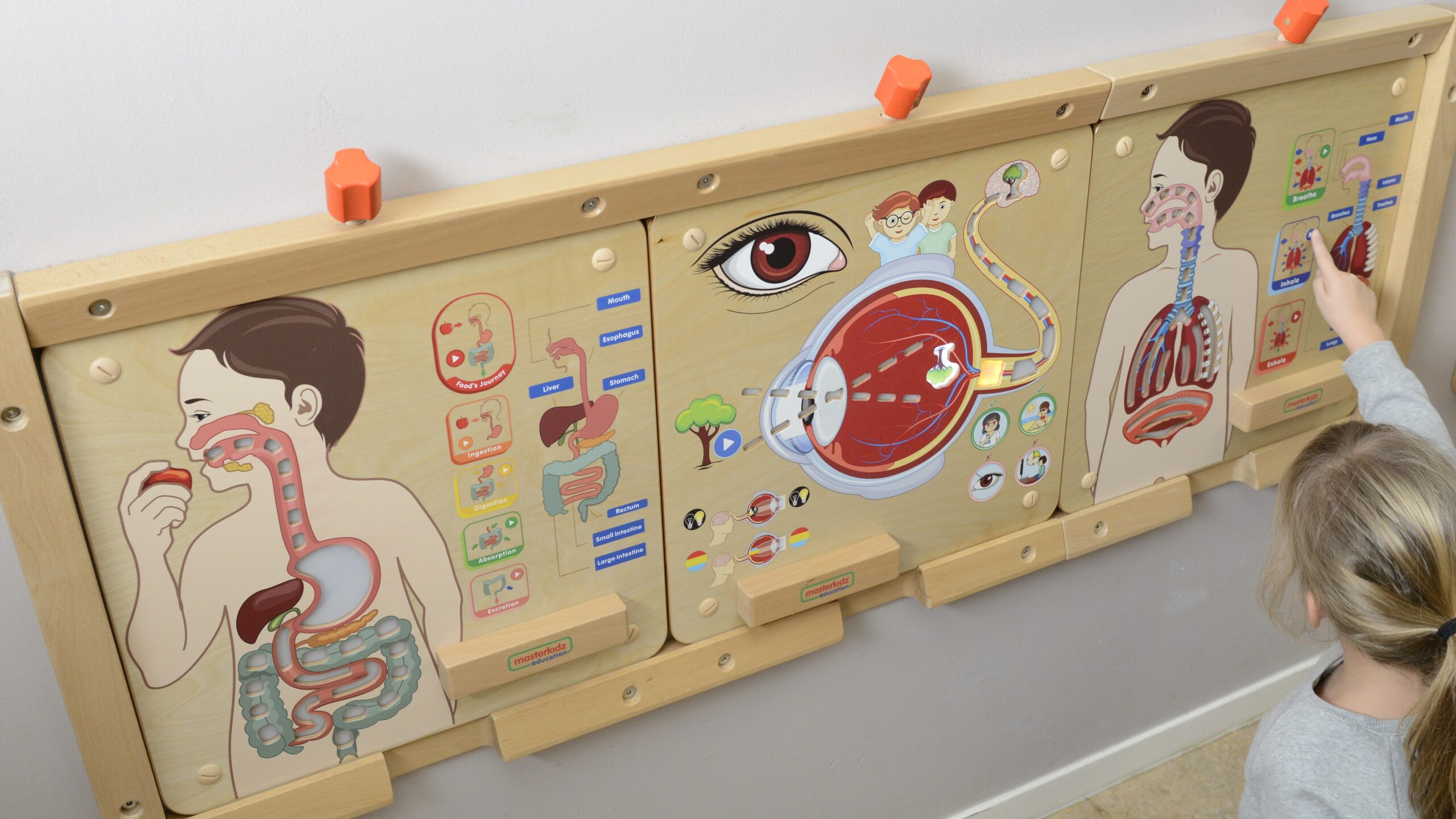 Hariv mänguasi lastele teaduse avastamiseks