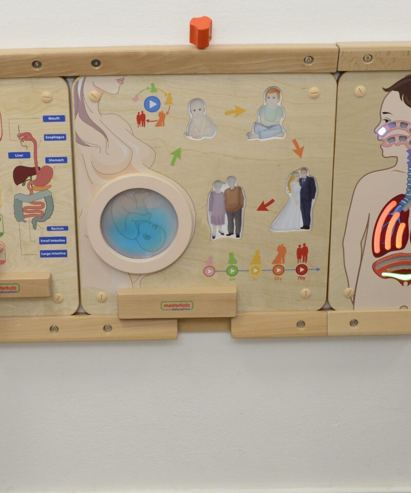 Interaktiivne tahvel inglise keele õppimiseks