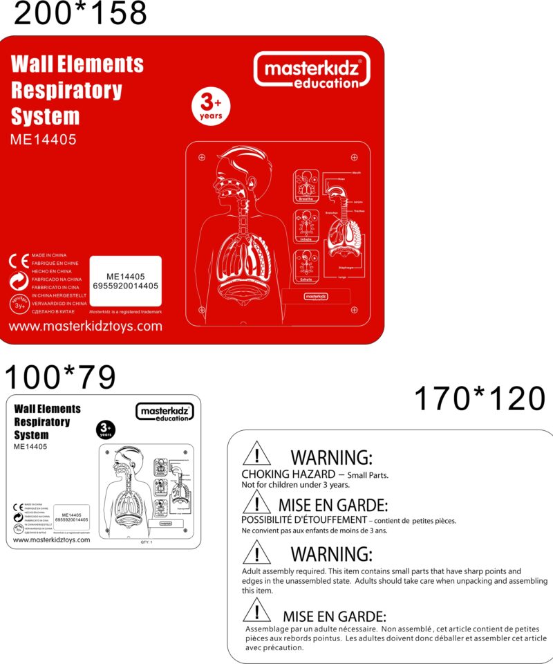 Hingamissüsteemi õppetahvel mängulise õppimise jaoks