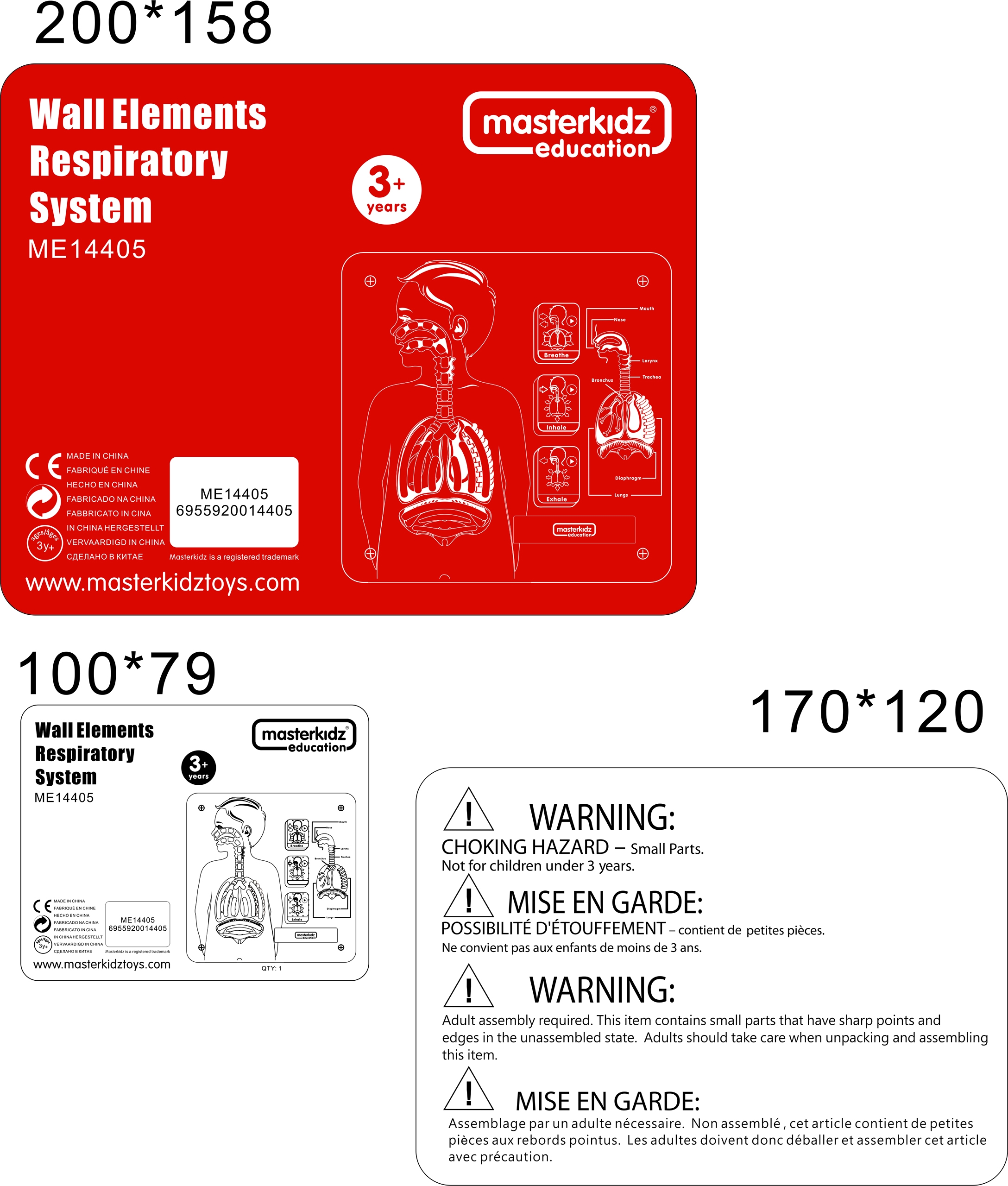 Hingamissüsteemi õppetahvel mängulise õppimise jaoks