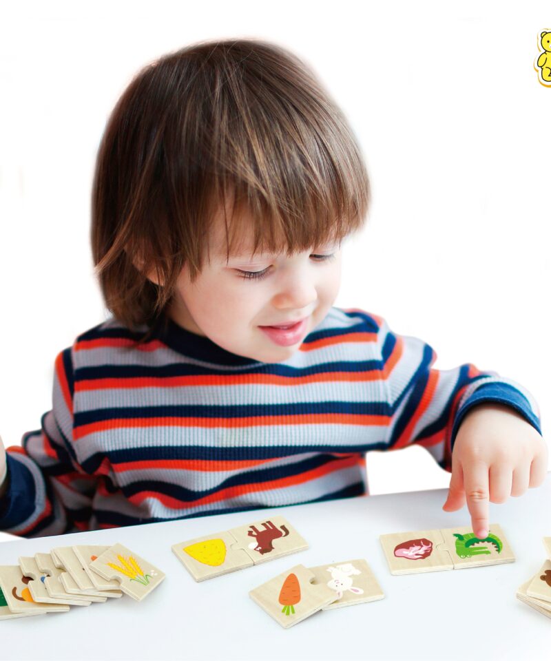 Käe-silma koordinatsiooni arendav pusle