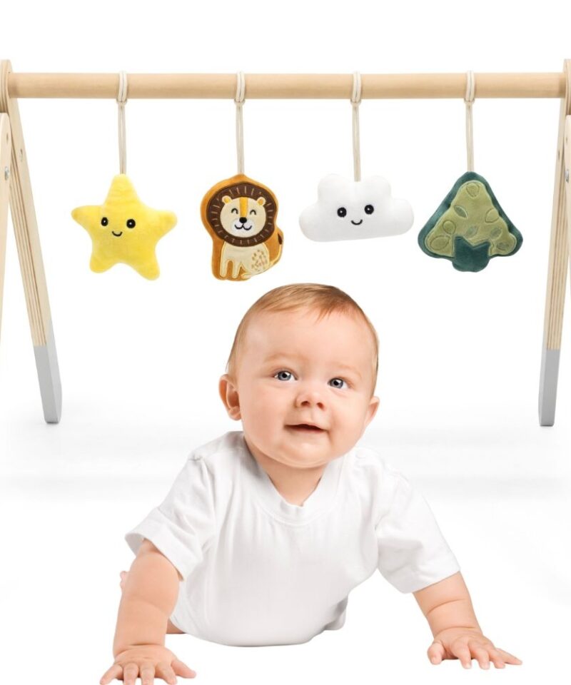 Beebide Mängukaar Interaktiivsete Mänguasjadega