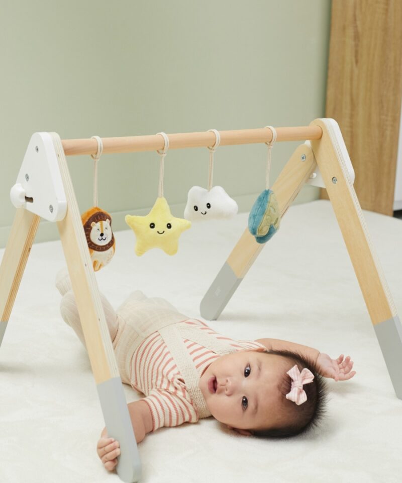 Interaktiivsete ripatsitega beebi mängukaar varajaseks arenguks