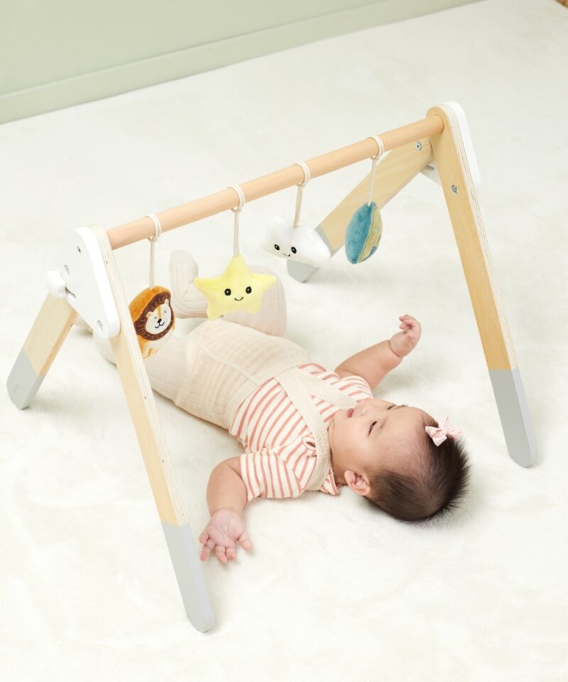 Beebi mängukaar helidega kõrinad krabinad ja piiksud