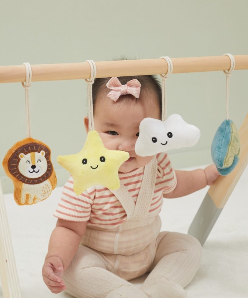 Lihtsasti paigaldatav beebi mängukaar koduseks mängualaks