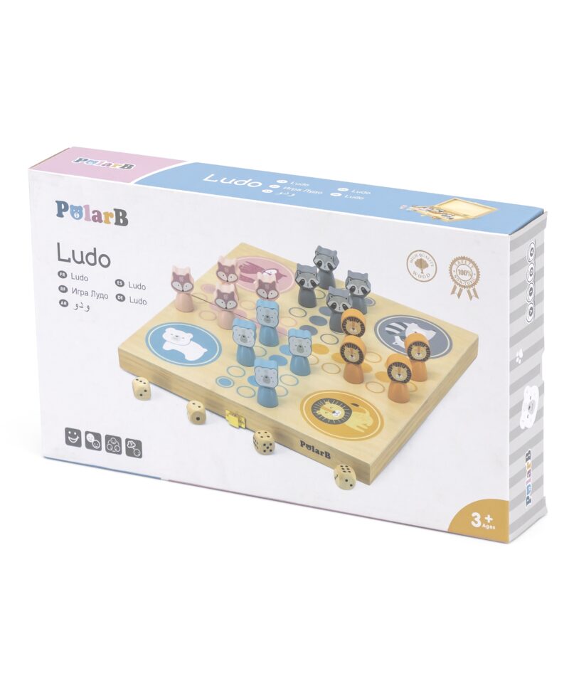 Arendav lauamäng lastele, loogika ja mälu treenimiseks