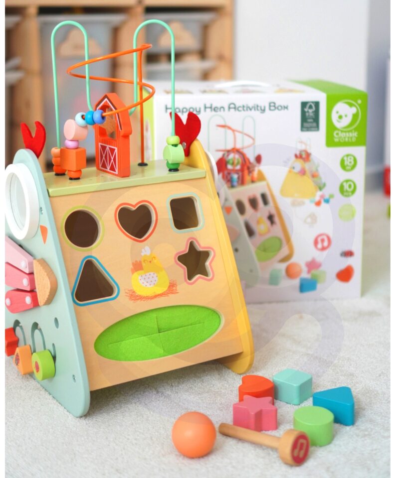 Montessori mängukomplekt labürintide ja sorteerijatega