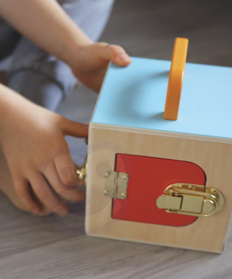 Montessori komplekt kingituseks