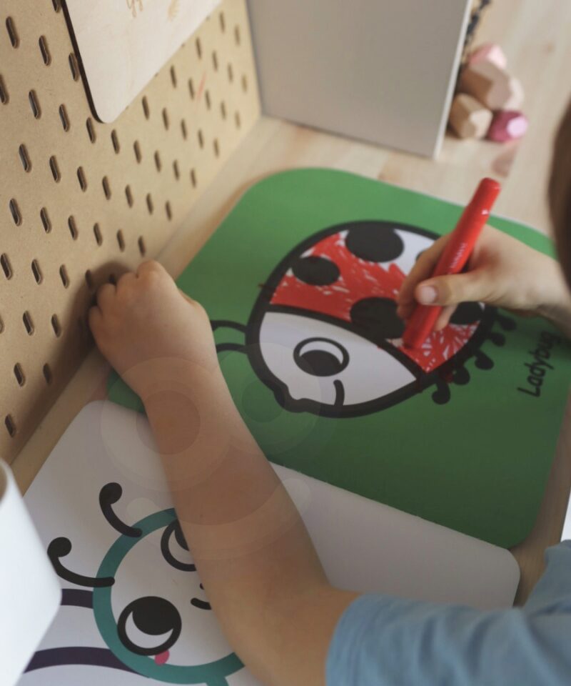 Montessori komplekt kingituseks