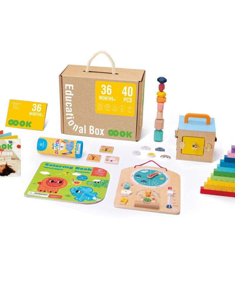 Montessori komplekt kingituseks